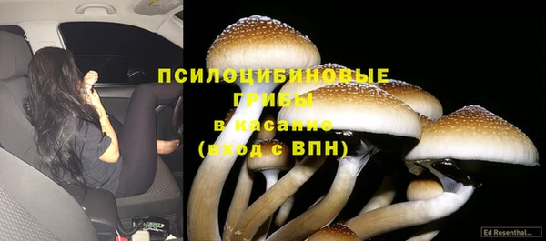 каннабис Карталы