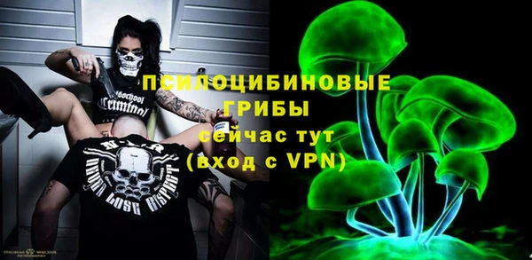 МДПВ Касимов
